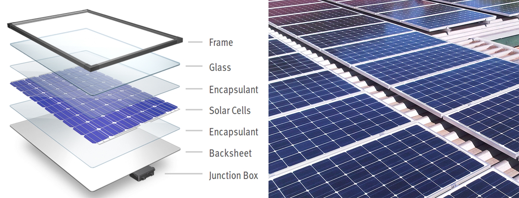 Best of customised technologies